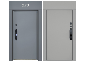 Стальная дверь "Nid". Заказная модель.