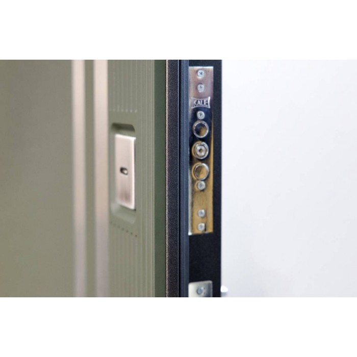 Berserker-Acoustic 407