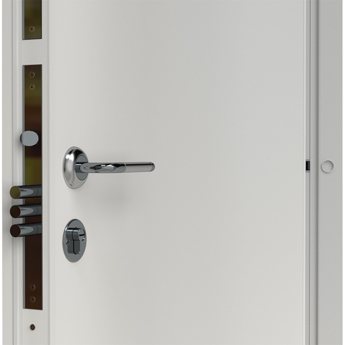 Квартирная противопожарная дверь BF