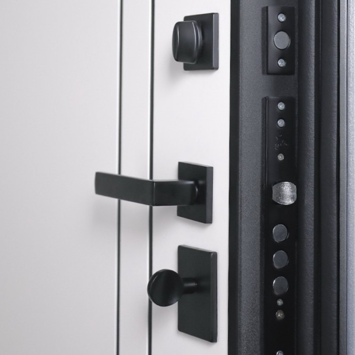 -Стальная дверь Forest