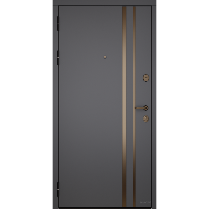 -Стальная дверь Страйп