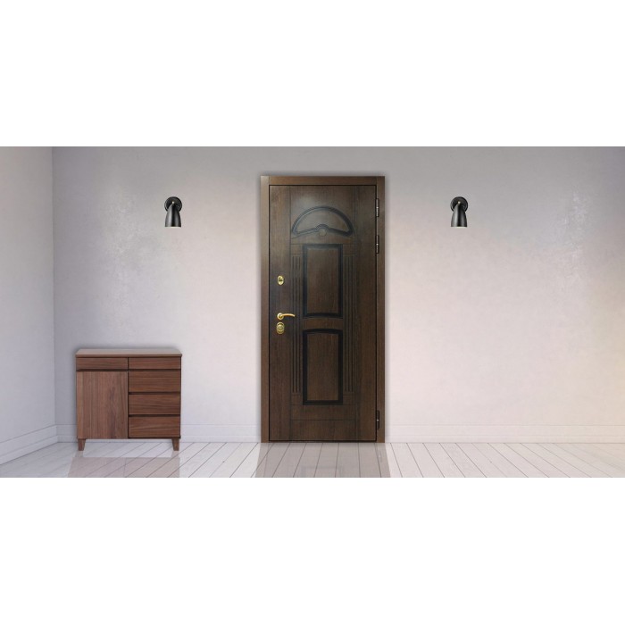 Стальная дверь "Аполлон". Заказная модель.