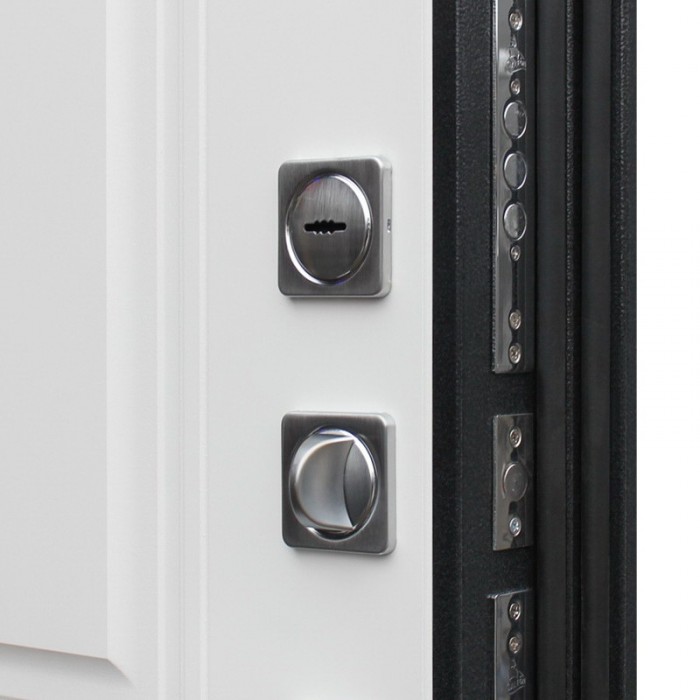 АСД-Стальная дверь 