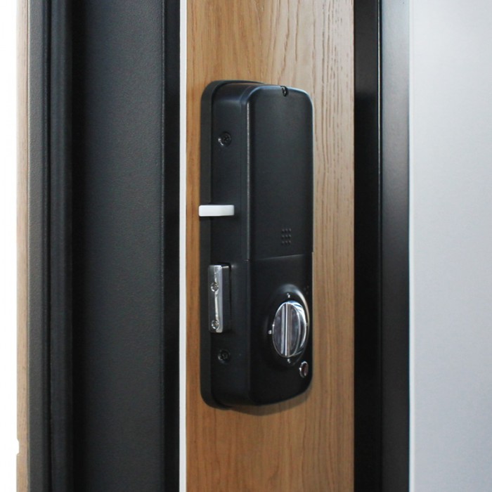 Стальная дверь "Дипломат". Заказная модель.