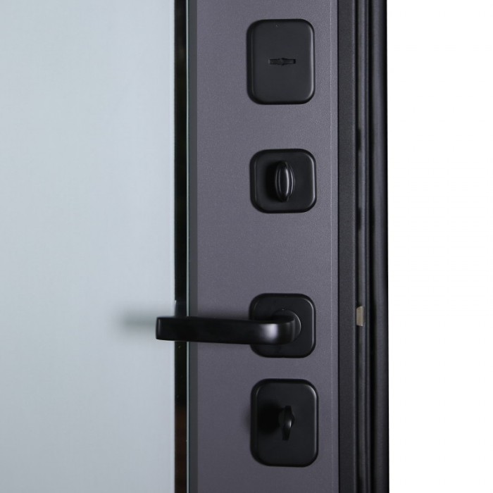 Стальная дверь "Ego". Заказная модель.