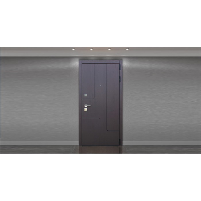 Стальная дверь "Эталон". Заказная модель.