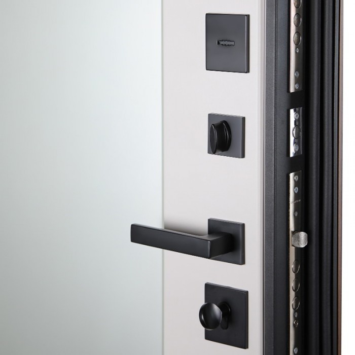 Стальная дверь "Фаворит" с матовым зеркалом. Заказная модель.