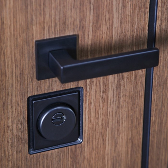 Стальная дверь "Фаворит" с матовым зеркалом. Заказная модель.