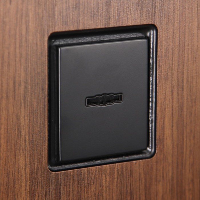 Стальная дверь "Фаворит" с матовым зеркалом. Заказная модель.