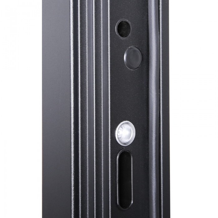 Стальная дверь "Фаворит" с матовым зеркалом. Заказная модель.