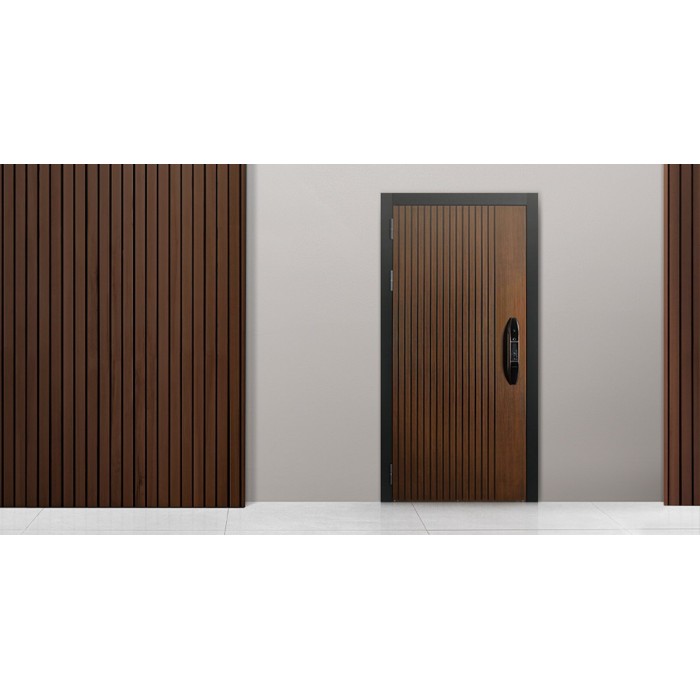 Стальная дверь "Фиджи". Заказная модель.