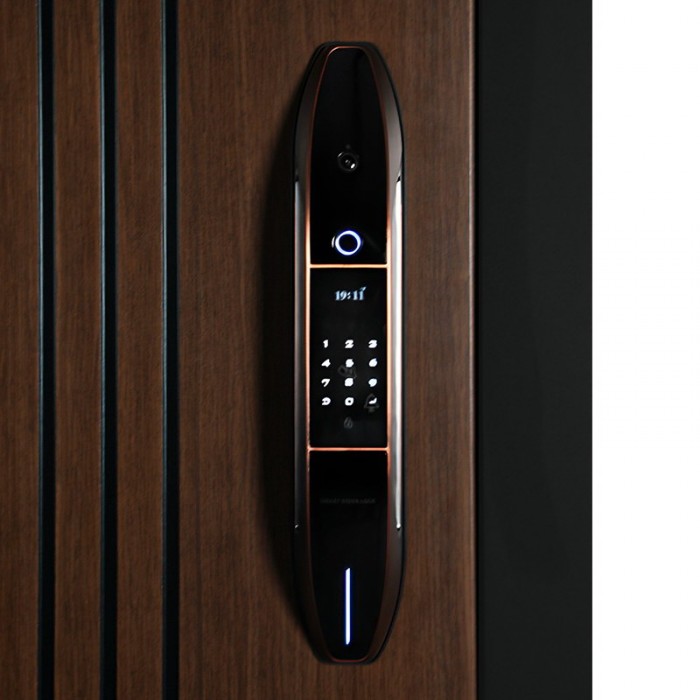 Стальная дверь "Фиджи". Заказная модель.