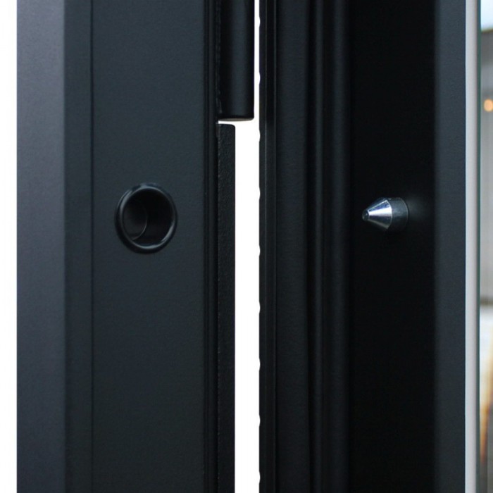 АСД-Стальная дверь 