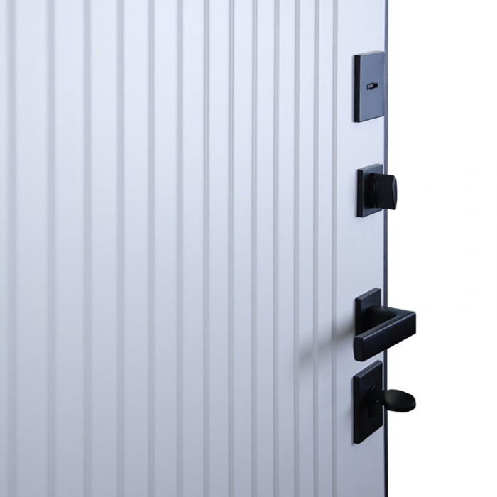 Стальная дверь "Planum". Заказная модель.