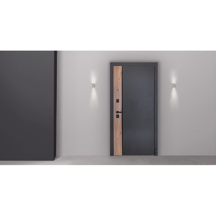 Стальная дверь "Planum". Заказная модель.