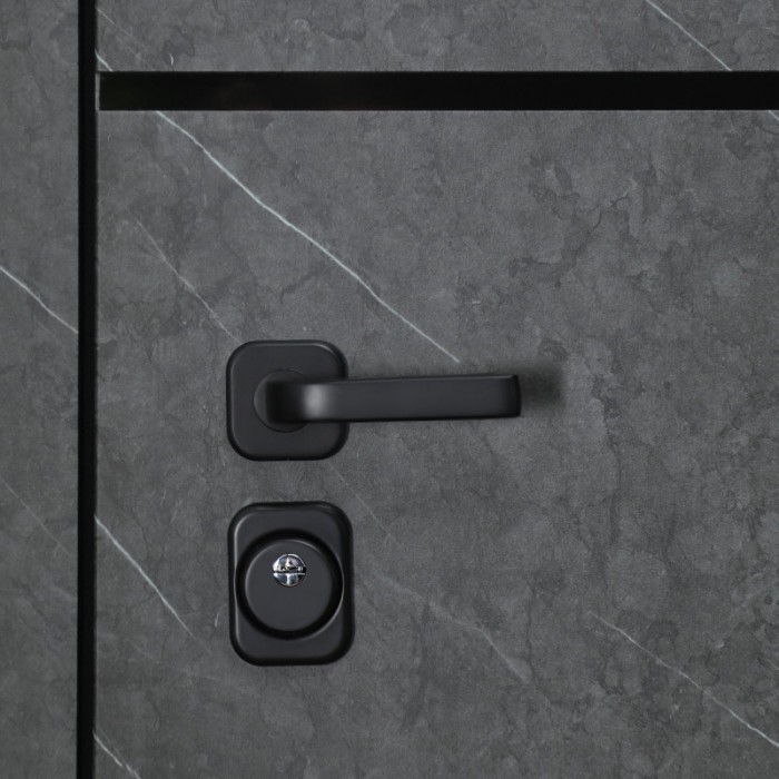 Стальная дверь "Трея". Заказная модель.