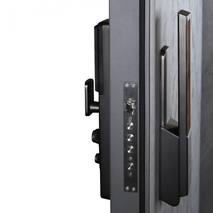 Стальная дверь "Сантос". Заказная модель.