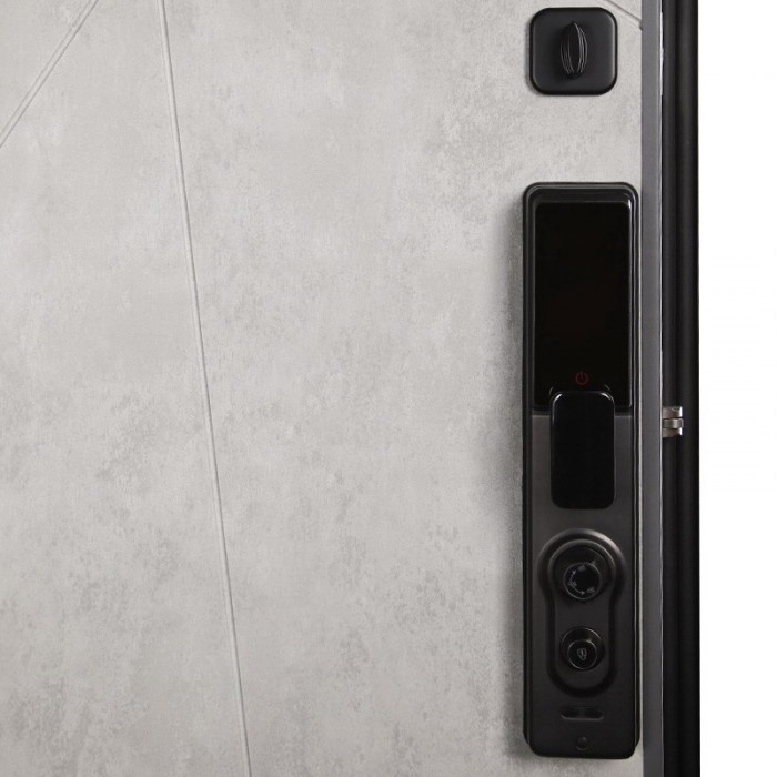 Стальная дверь "Сантос". Заказная модель.