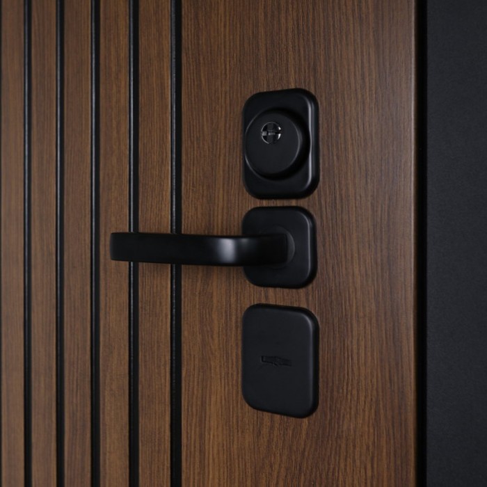 Стальная дверь "Сенатор с зеркалом". Заказная модель.