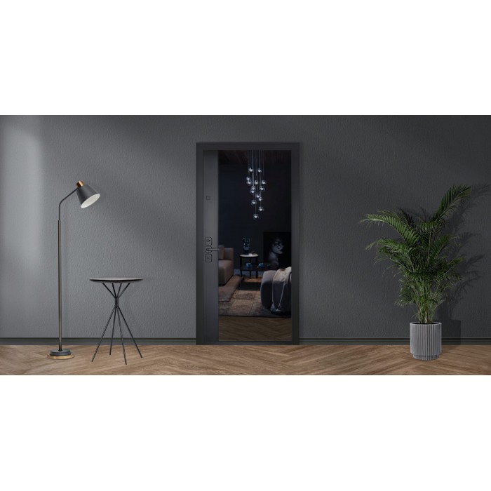 Стальная дверь "Сенатор с зеркалом". Заказная модель.