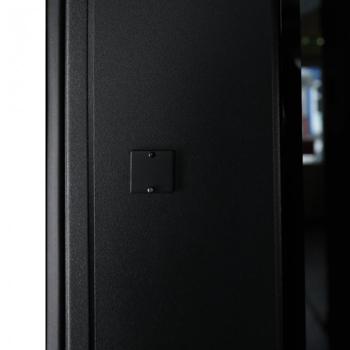 Стальная дверь "Сенатор с зеркалом". Заказная модель.