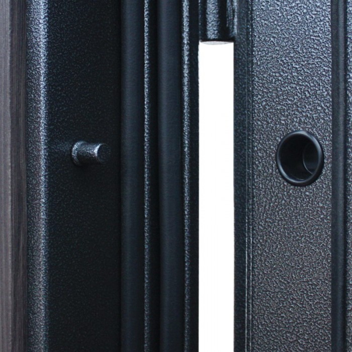 АСД-Стальная дверь 