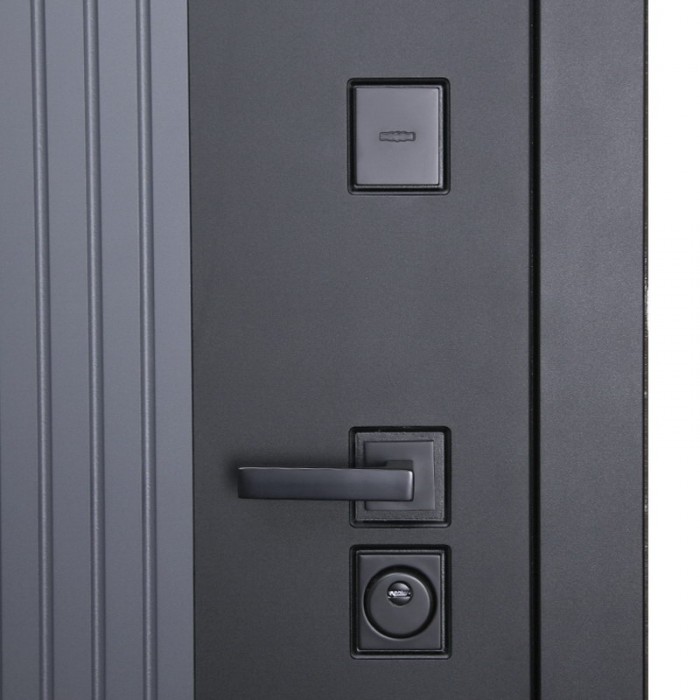 Стальная дверь "Tesoro". Заказная модель.