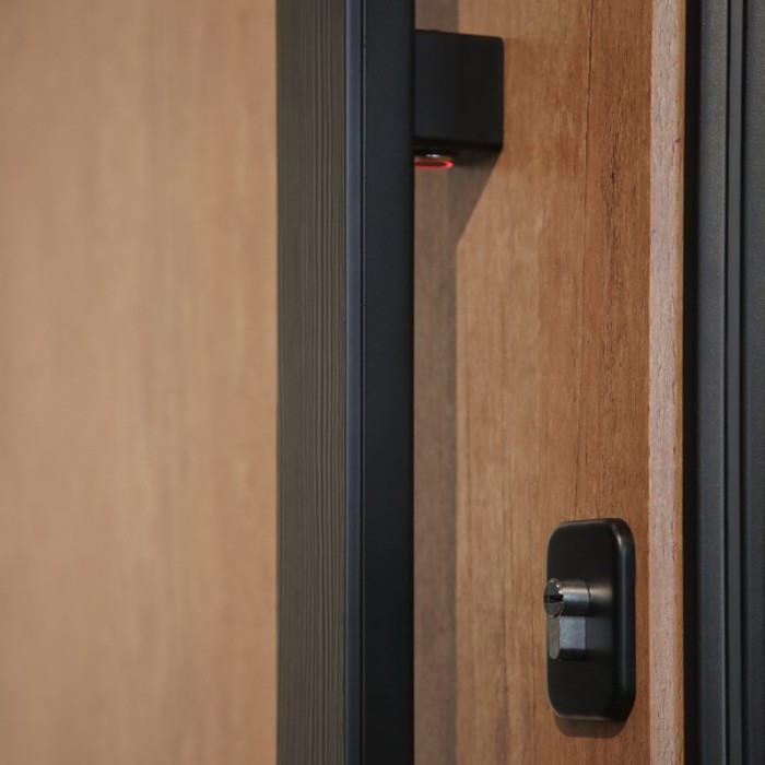 Стальная дверь "Tibr" (терморазрыв). Заказная модель. 2100х1700