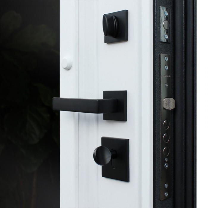 АСД-Стальная дверь 