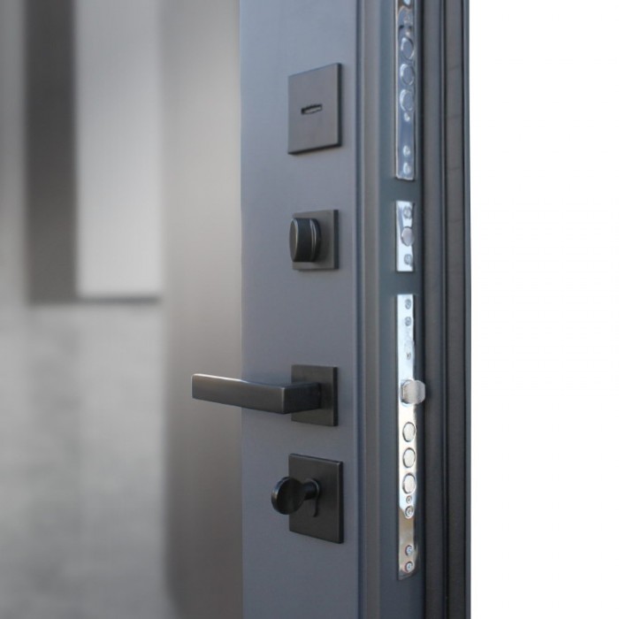 АСД-Стальная дверь 