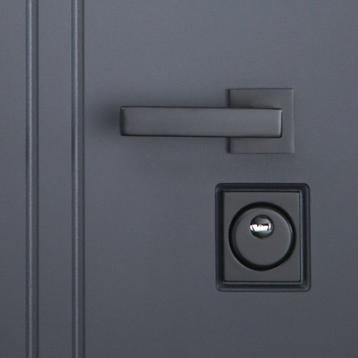 Стальная дверь Вертикаль с зеркалом