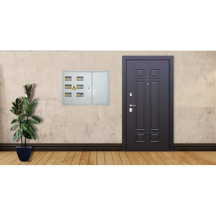 Стальная дверь "Виват". Заказная модель.